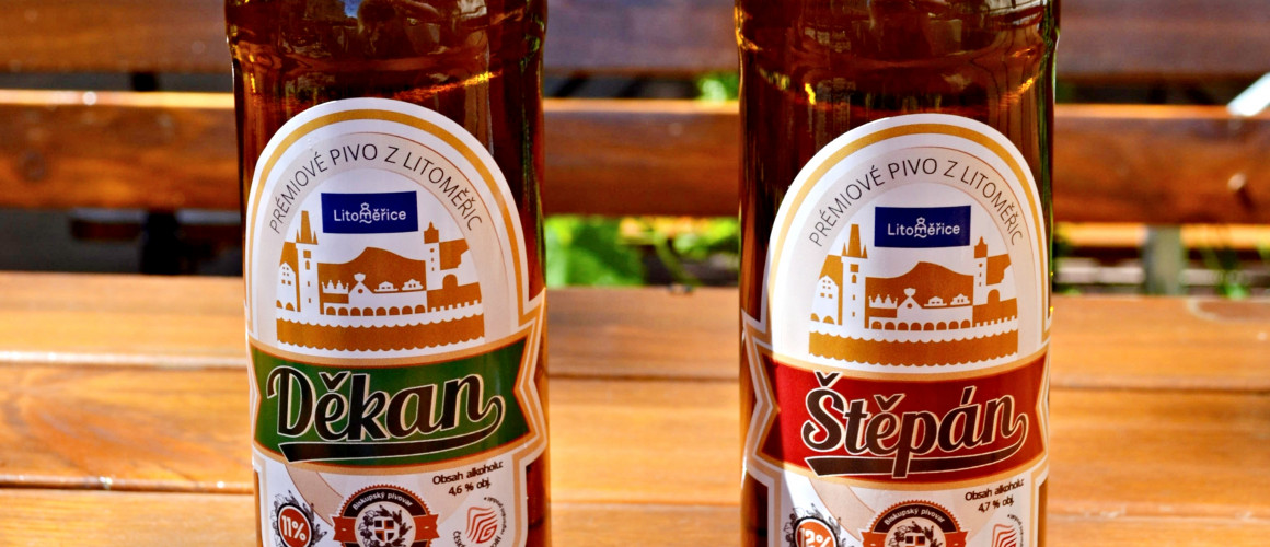 Děkan a Štěpán.jpg