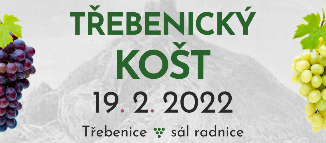 košt třebenice.jpg