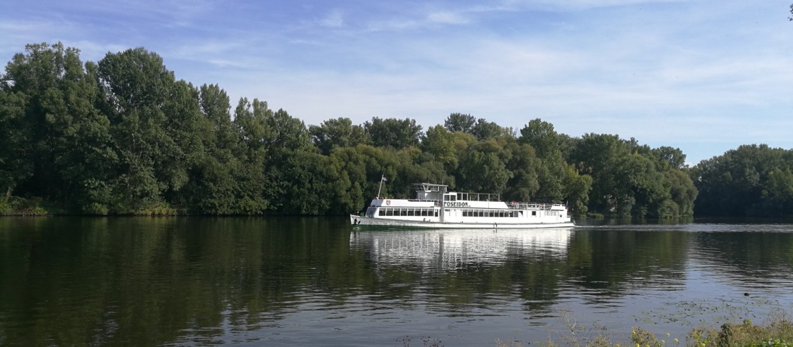 thumb_3644_gallery_hq (1).jpeg