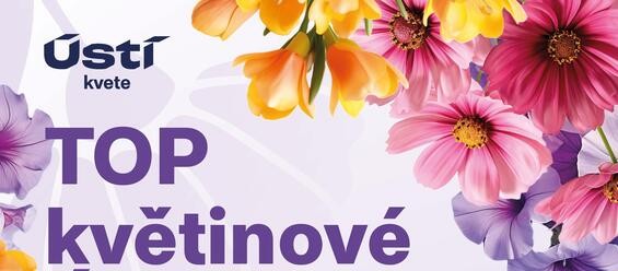 top-kvetinove-usti 2025.jpg