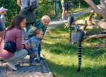Průchozí expozice lemurů menší.jpg